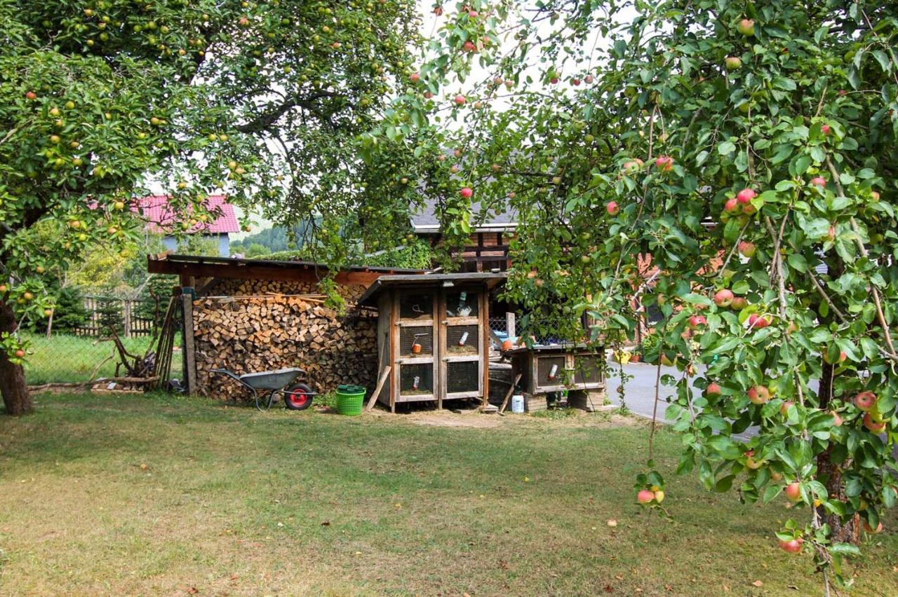 فندق Haus Sonnenwalde - Familie Ruhe Rohrbach  المظهر الخارجي الصورة